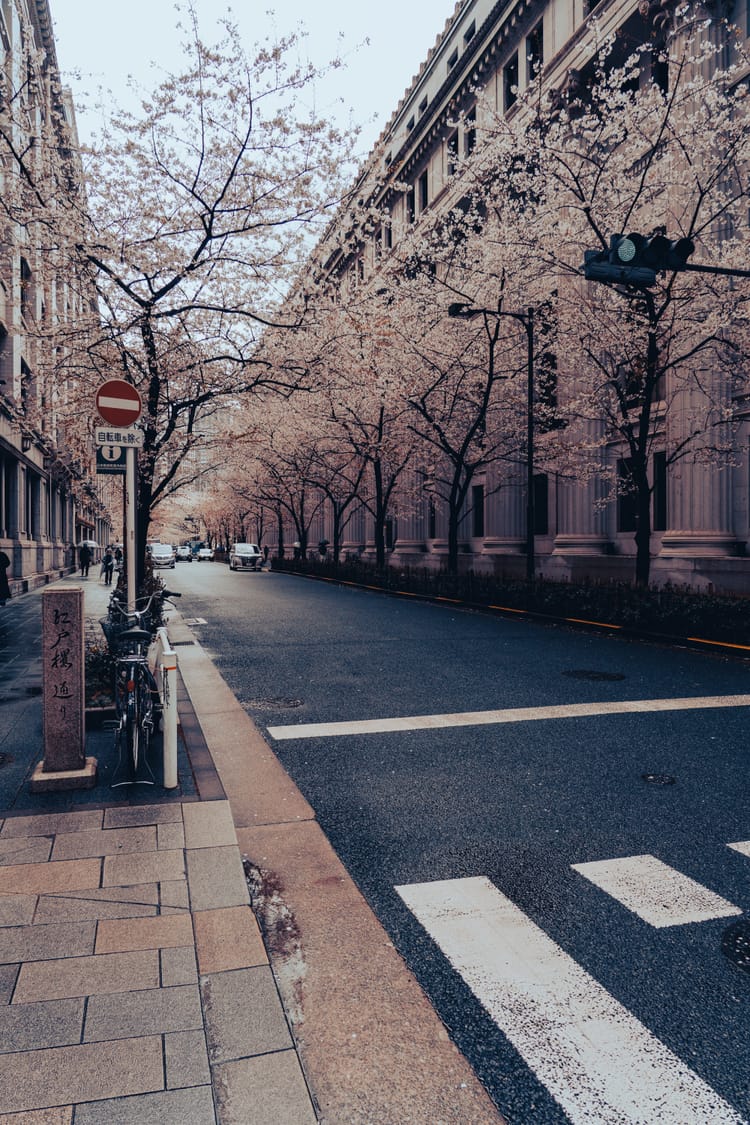Japan 2025 Photos Part 1 - Landing in Tokyo